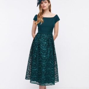 ACC95501-8.  (8/10/3).  FOREST